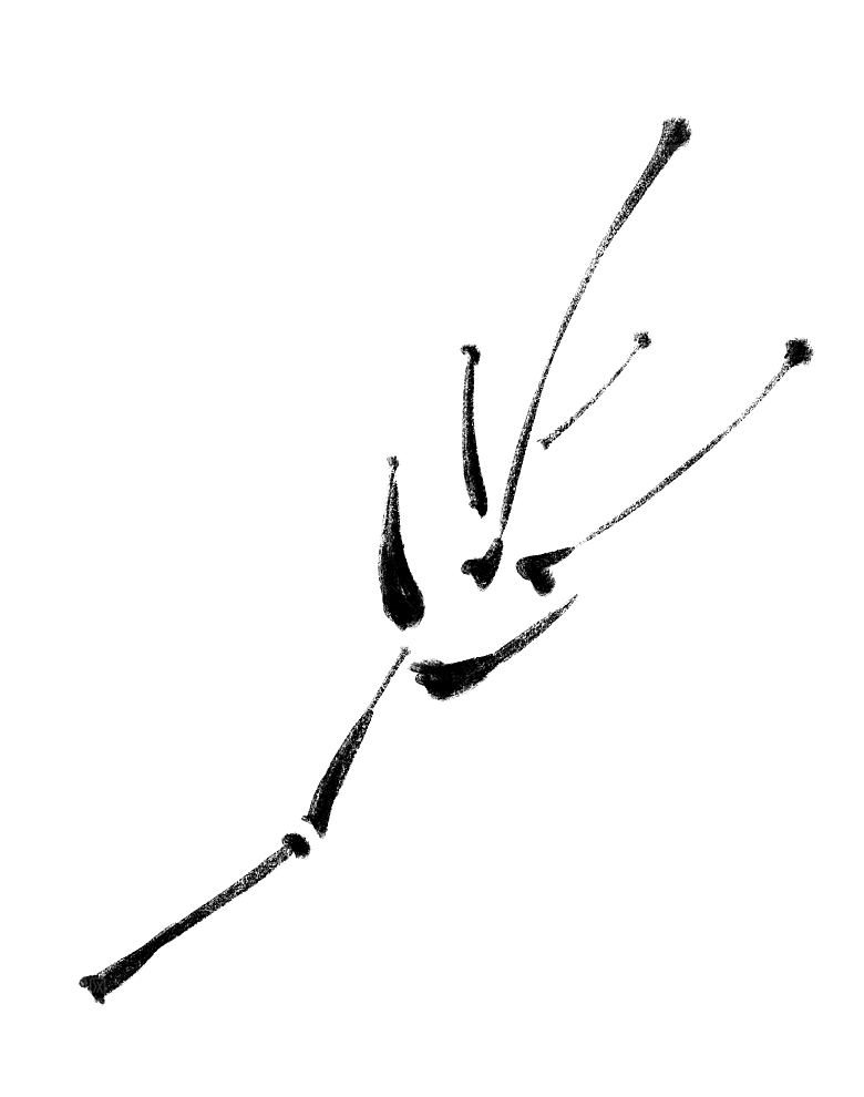 中国风水墨花鸟树木意境元素