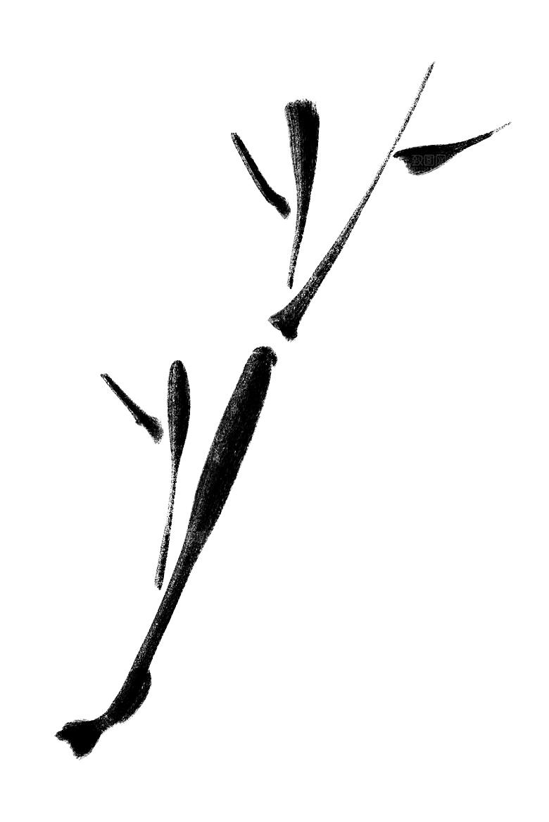 中国风水墨花鸟树木意境元素