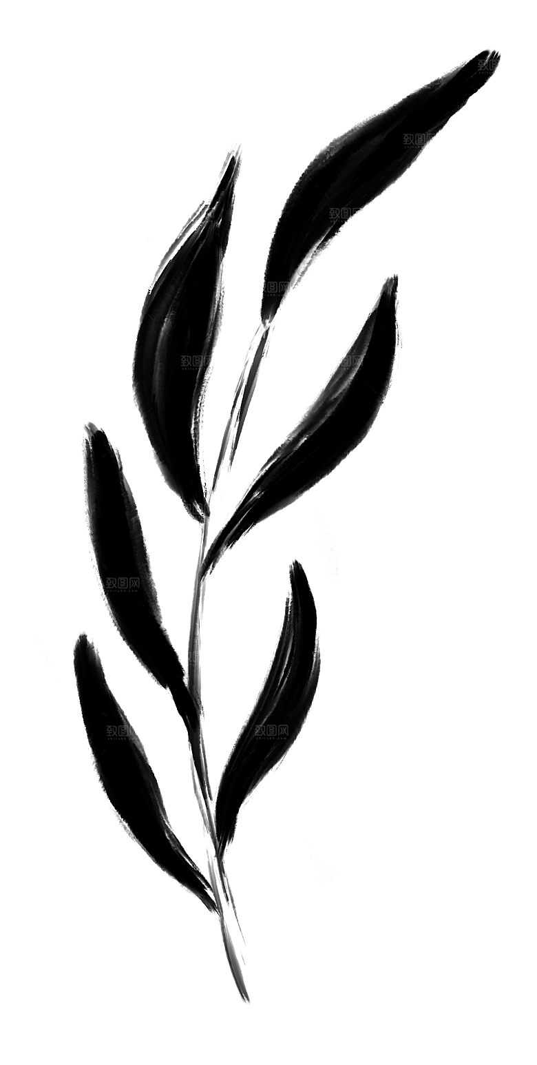 中国风水墨花鸟树木意境元素