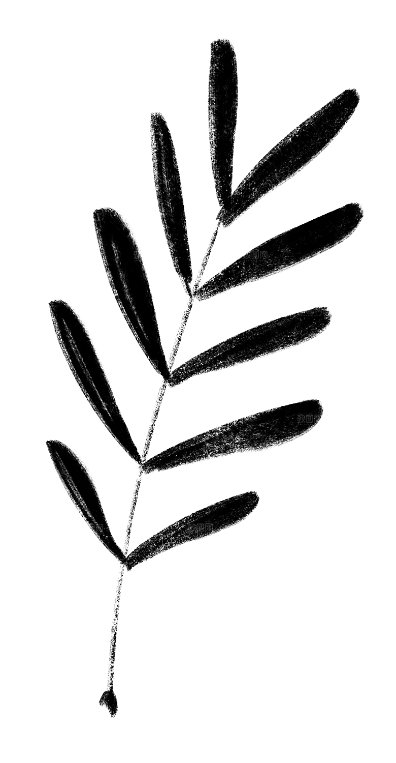 中式传统鱼花草贴图插画