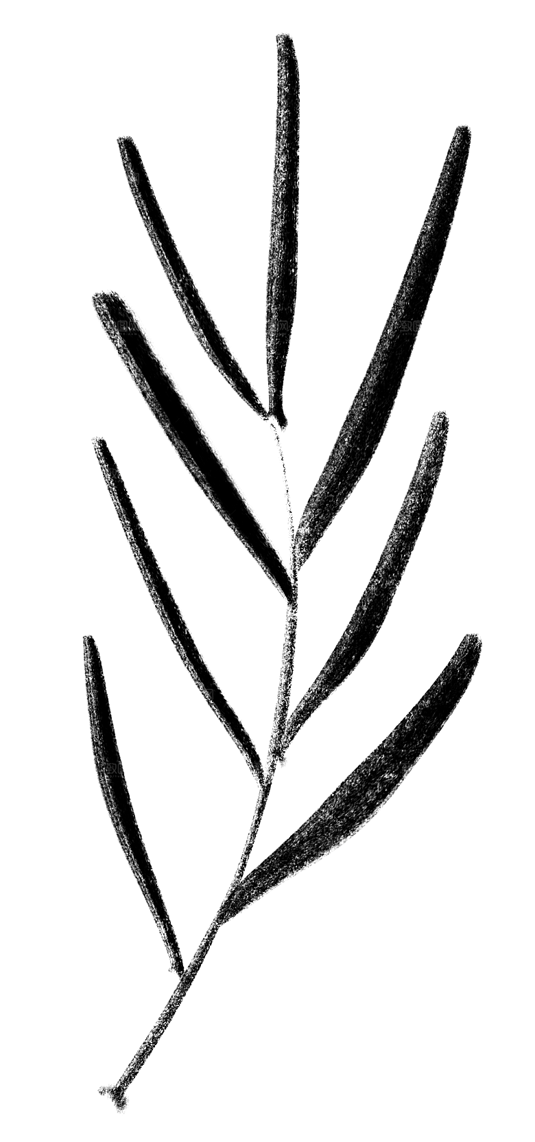 中式传统鱼花草贴图插画