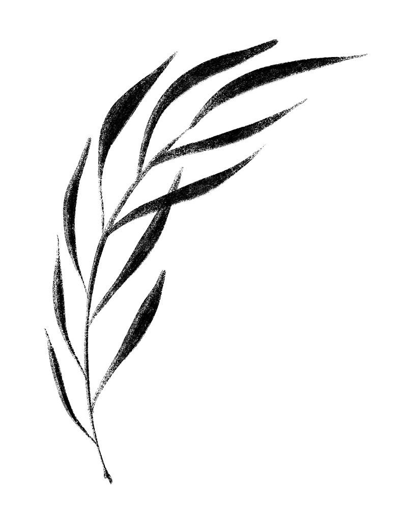 中式传统鱼花草贴图插画