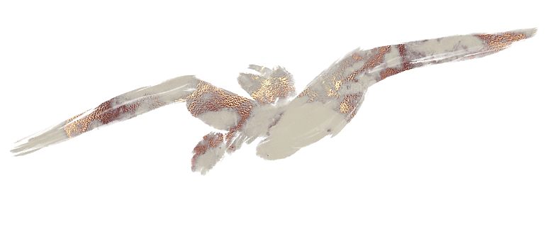 中式传统花卉花草贴图插画