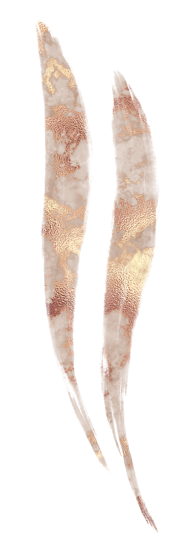 中式传统花卉花草贴图插画