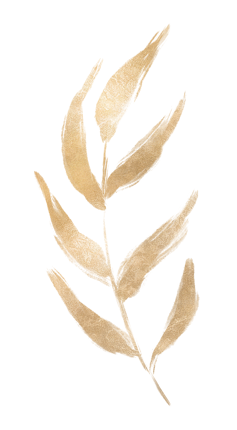 中式传统花卉花草贴图插画