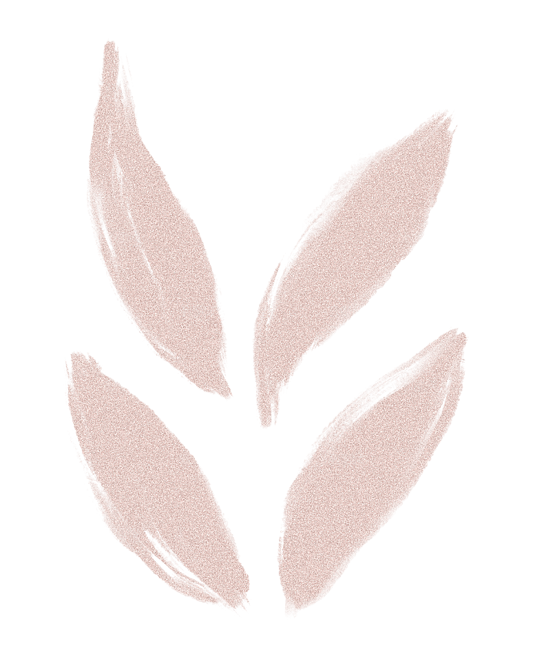中式传统花卉花草贴图插画