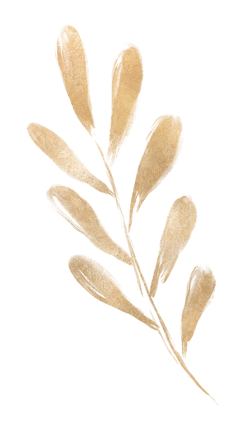 中式传统花卉花草贴图插画