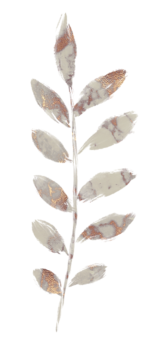 中式传统花卉花草贴图插画