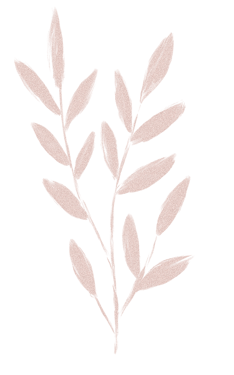 中式传统花卉花草贴图插画