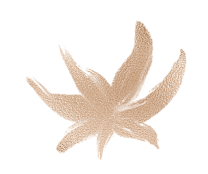 中国风水墨花鸟树木意境元素