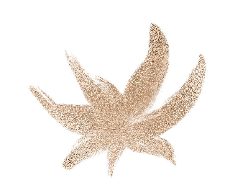 中国风水墨花鸟树木意境元素