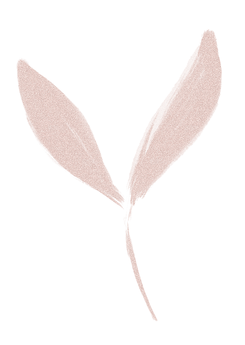 中国风水墨花鸟树木意境元素