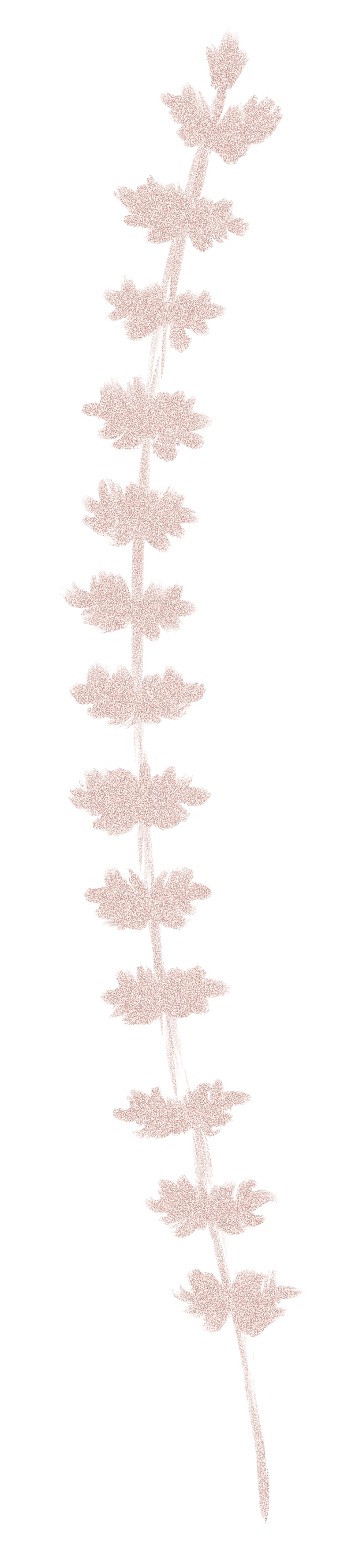 中国风水墨花鸟树木意境元素