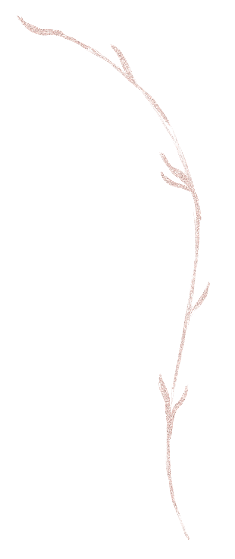 中式传统花卉花草贴图插画