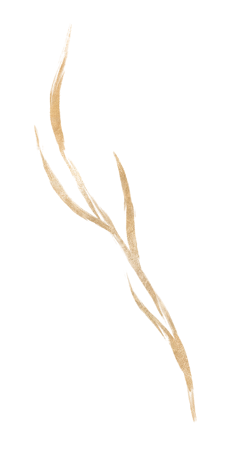 中式传统花卉花草贴图插画