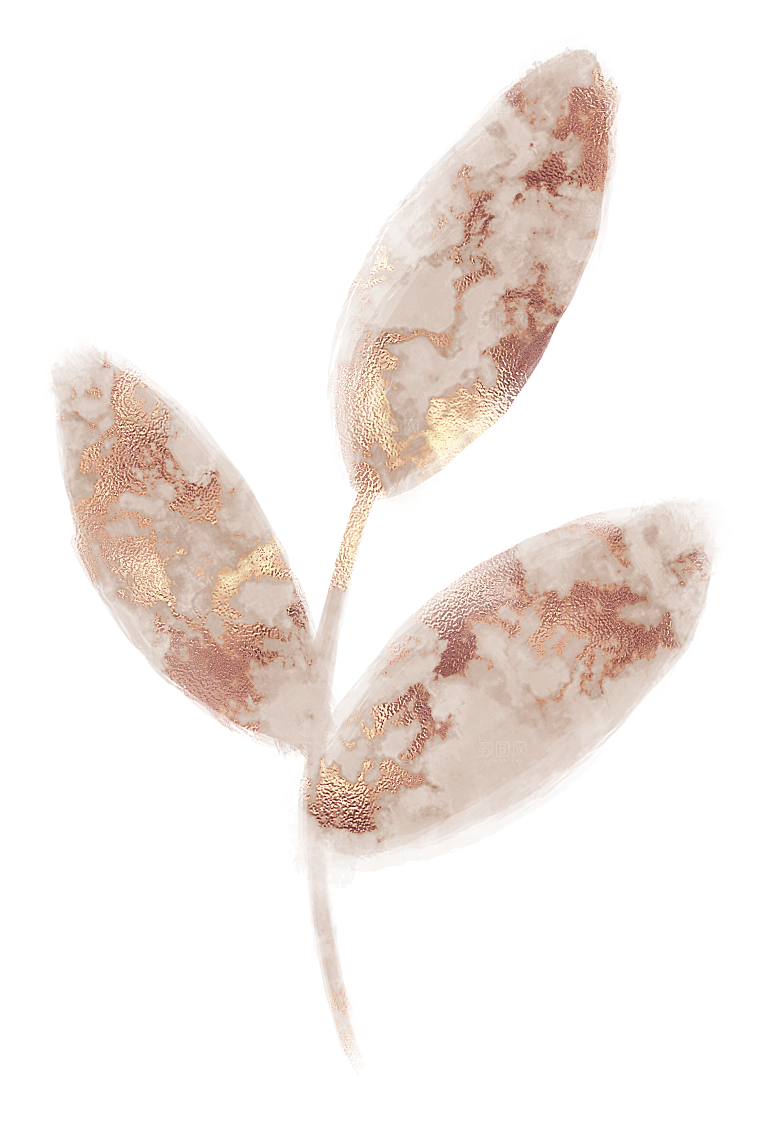 中式传统花卉花草贴图插画