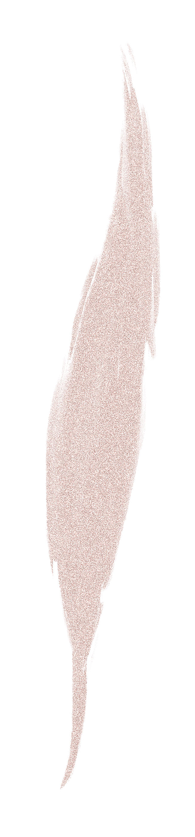 中式传统花卉花草贴图插画