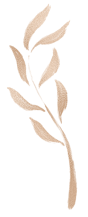 中式传统花卉花草贴图插画