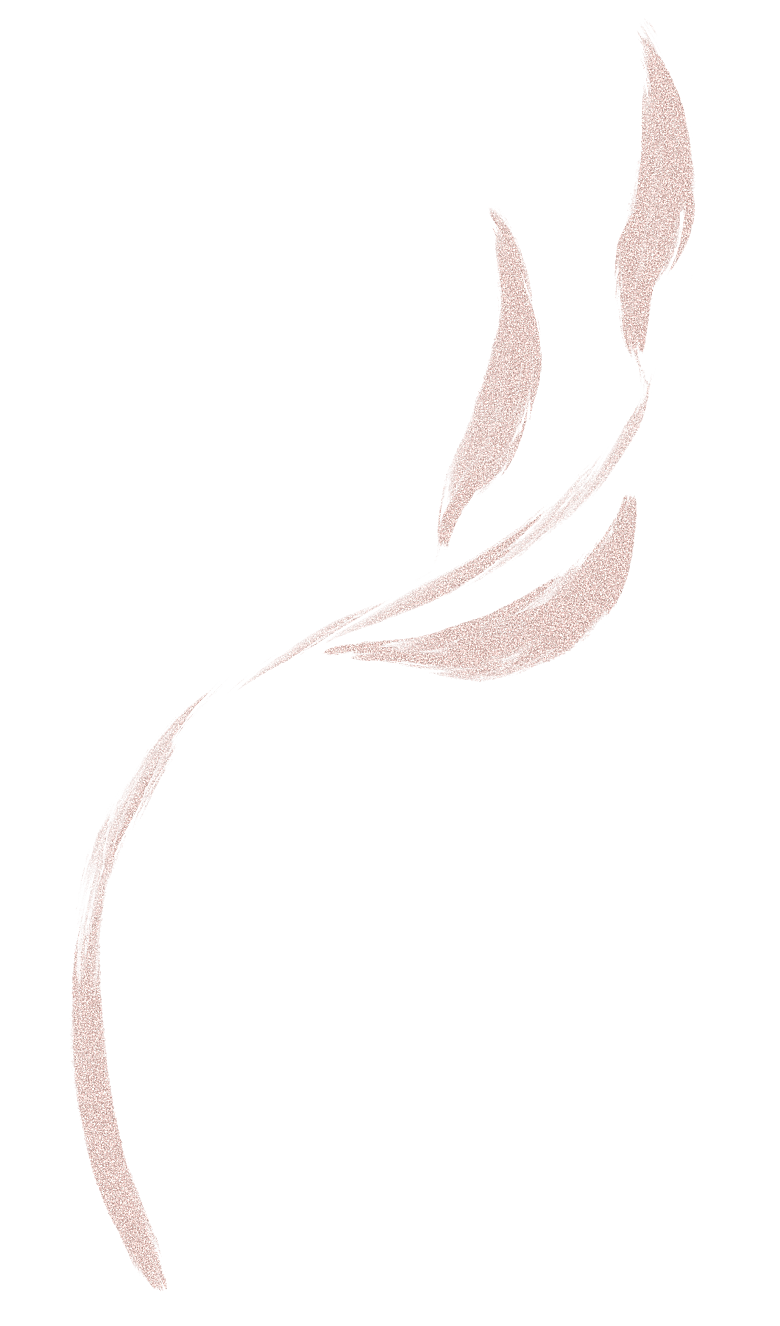 中式传统花卉花草贴图插画
