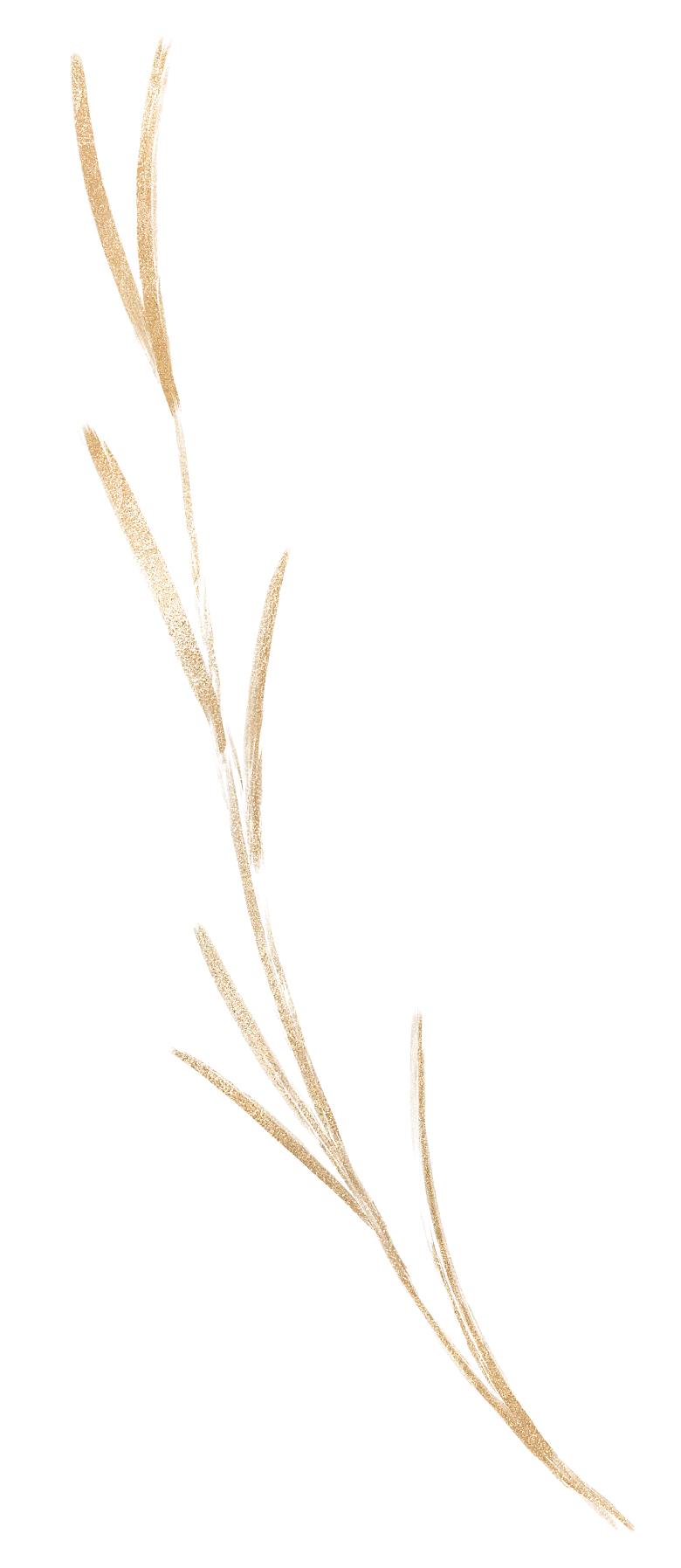 中国风水墨花鸟树木意境元素