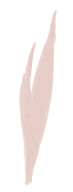 中式传统花卉花草贴图插画