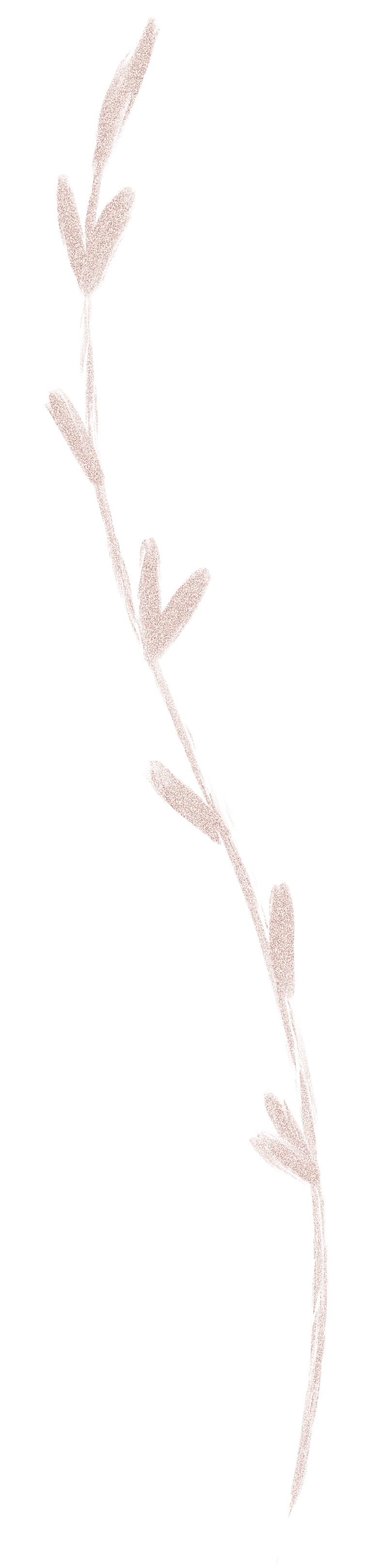 中式传统花卉花草贴图插画