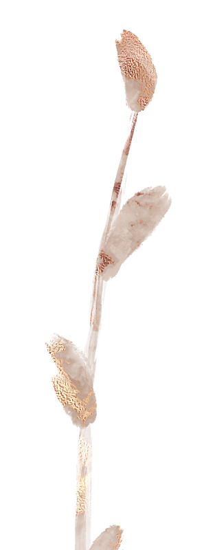 中式传统花卉花草贴图插画