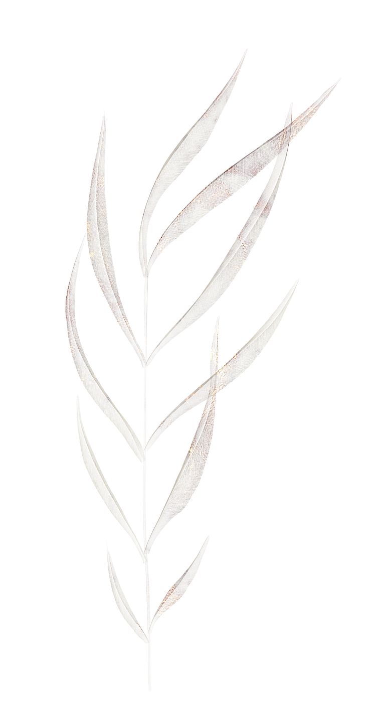 中式传统鱼花草贴图插画