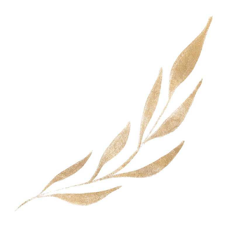 中式传统鱼花草贴图插画
