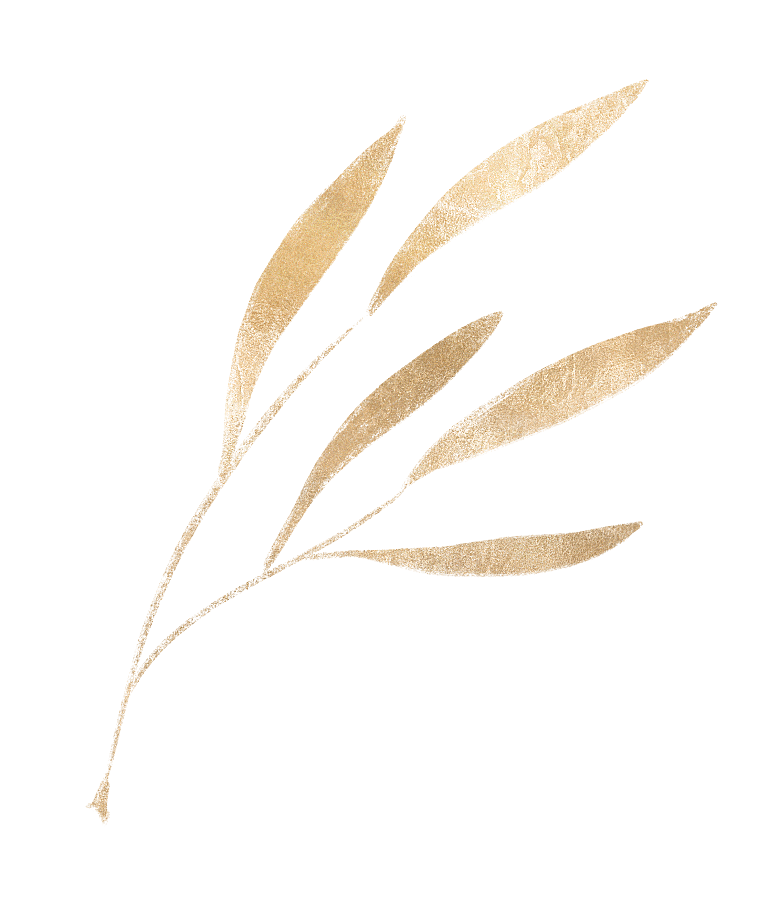 中式传统鱼花草贴图插画