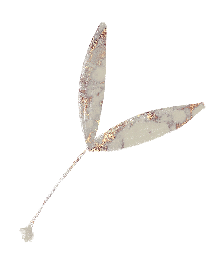 中式传统鱼花草贴图插画