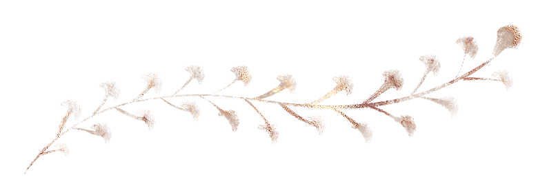 中式传统鱼花草贴图插画