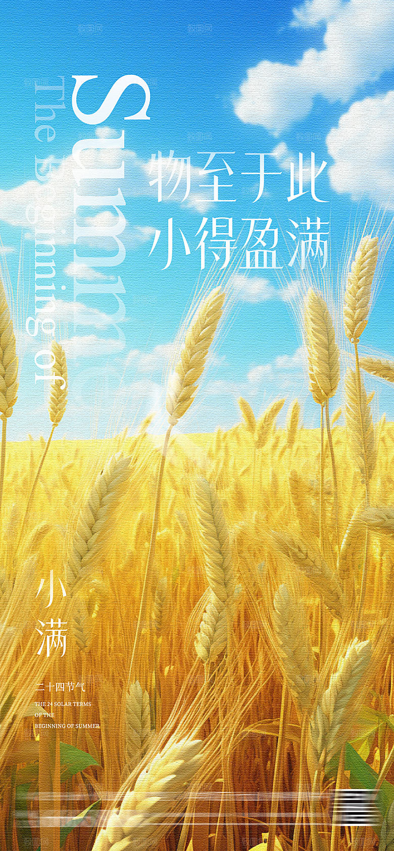 小满芒种节气海报