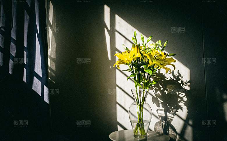 黄色鲜花百合花摄影