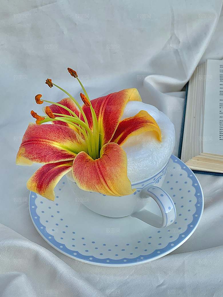 黄色鲜花百合花摄影