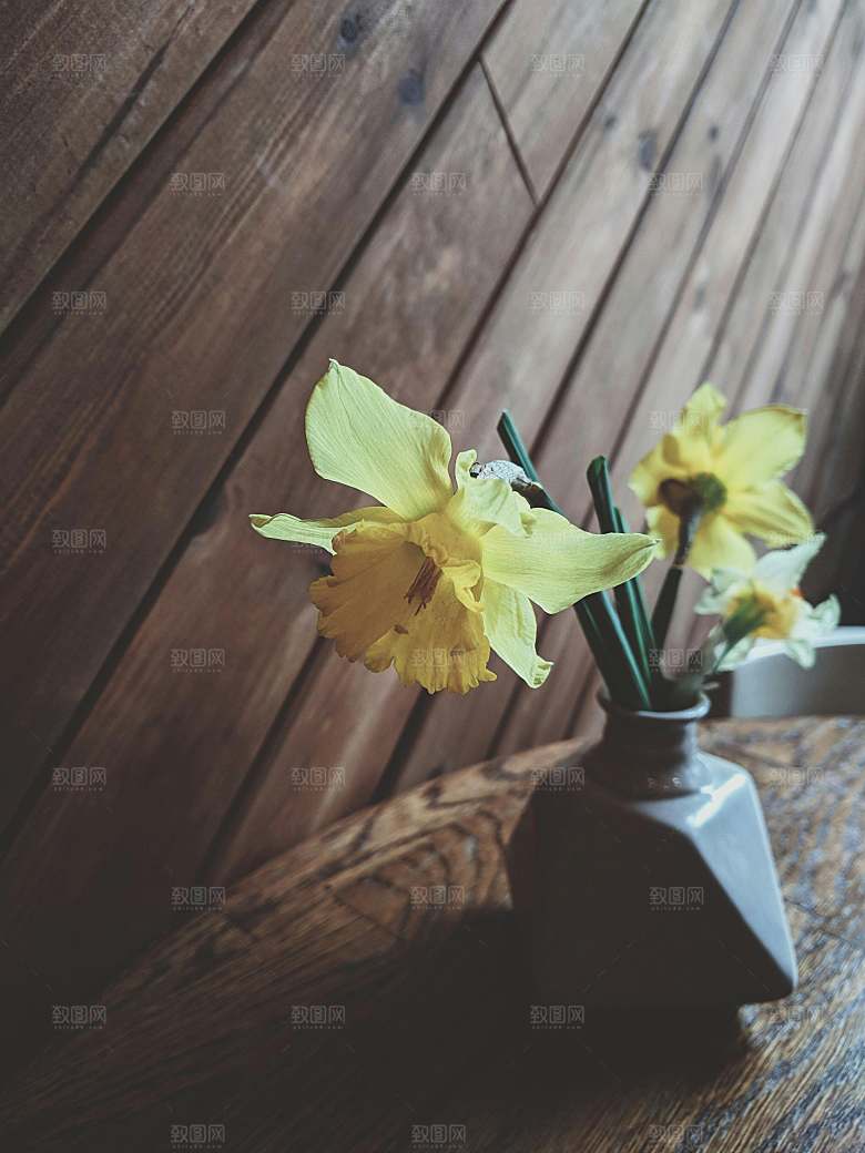 黄色鲜花百合花摄影