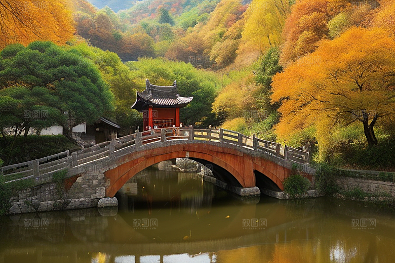 落叶的独特形状与颜色
