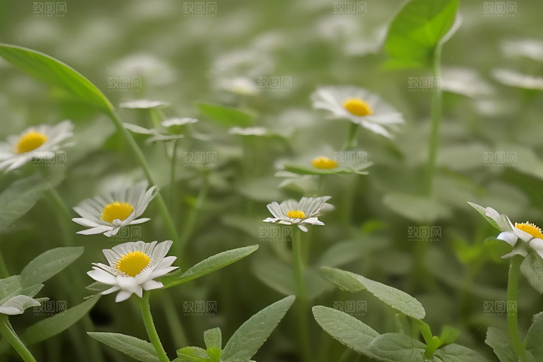 植物景观设计营造绿色生活氛围