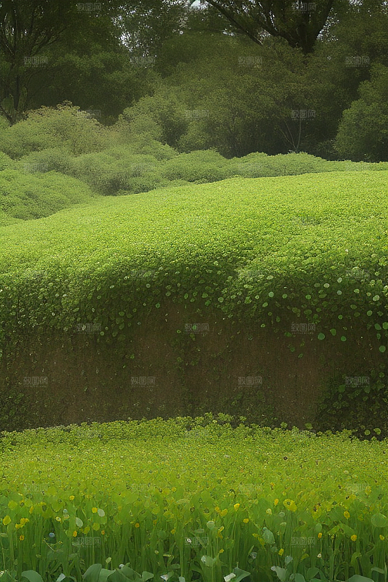 园艺入门植物种植基础