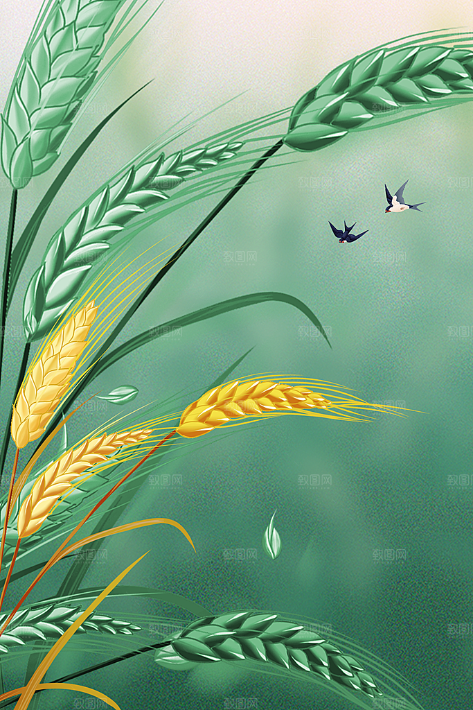 二十四节气节日背景插画海报