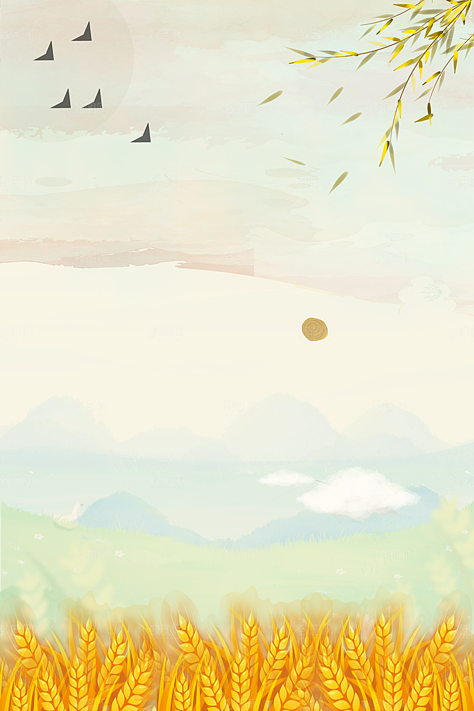 二十四节气节日背景插画海报
