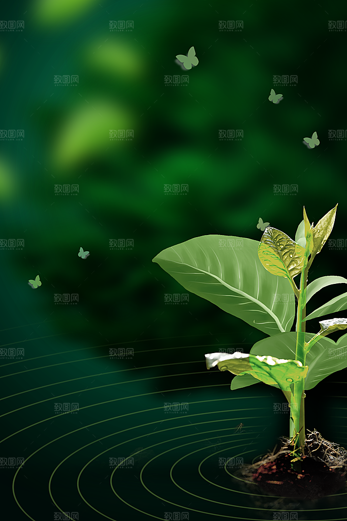 二十四节气节日背景插画海报