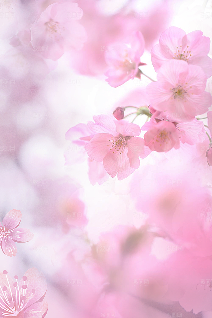 二十四节气节日背景插画海报