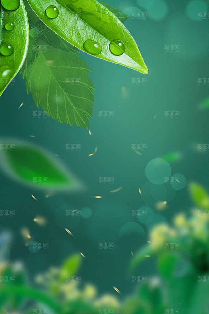 二十四节气节日背景插画海报