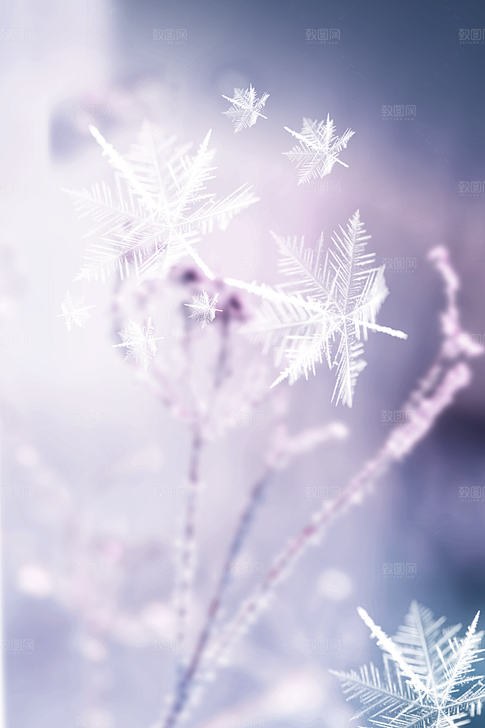 二十四节气节日背景插画海报