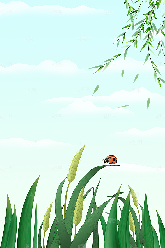 二十四节气节日背景插画海报
