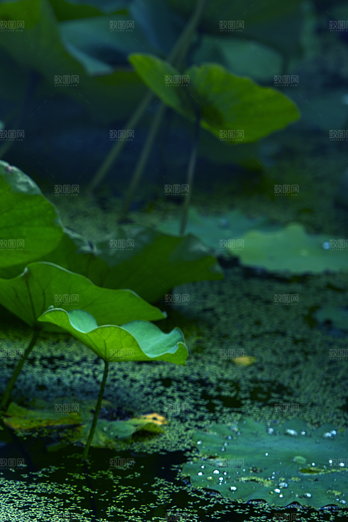 二十四节气节日背景插画海报