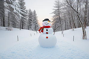 雪人与冬日风景绝佳搭配