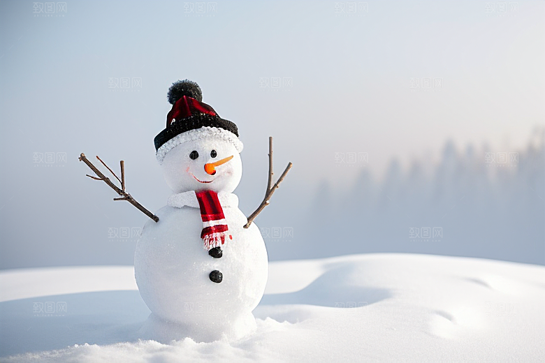 冬日雪趣堆可爱雪人的欢乐时光