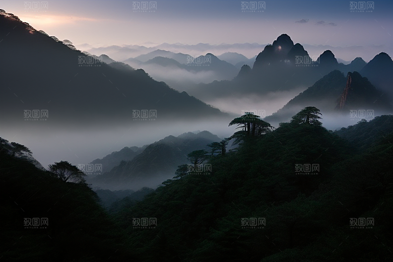 黄山上的美丽松树
